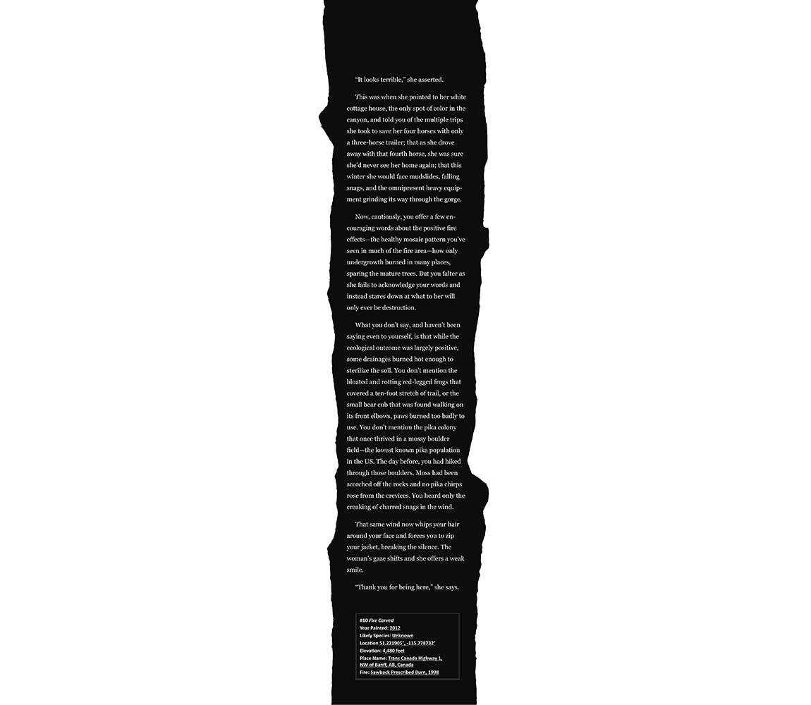 Fire Carved - Suze Woolf
